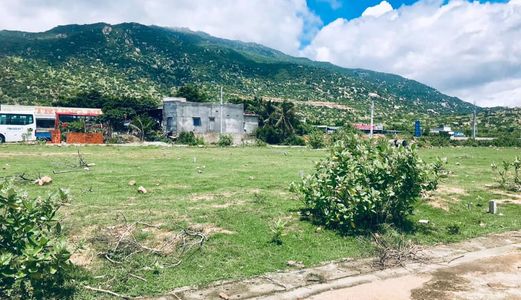 Lý Do Gì Khiến Bđs Vùng Ven Biển Hấp Dẫn Nhà Đầu Tư Đến Vậy?