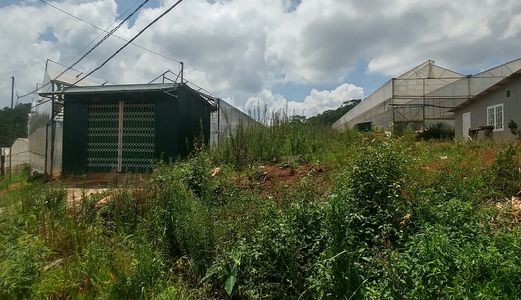 Cần Bán Lô Đất Của Gia Đình Ở Kqh Măng Lin - P 7- Tp Đà Lạt -