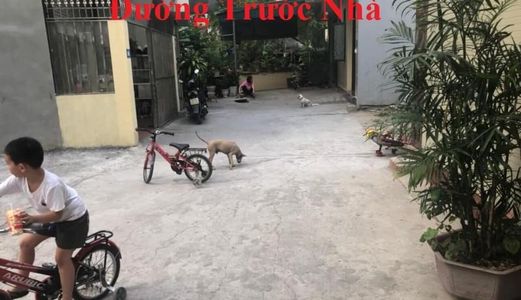 Bán Đất Thổ Cư Ô Góc Sau Trường Quang Trung. Dt:51.7M2,Mặt Tiền:4.2M.