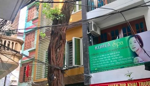 Siêu Phẩm Kim Giang,oto Đỗ Cổng, Kinh Doanh, Mặt Tiền 4.6, 4Tầng, Dt 57M, 5.3 Tỷ