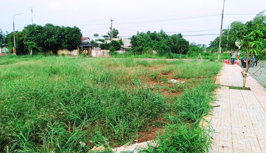 Cần Bán Gấp Đất Mặt Tiền Đường Tập Đoàn 7 Phước Bình Giá Rẻ!