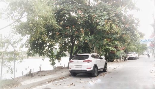 Chuyển Nhượng 2 Thửa Đất Liền Nhau Mặt Tiền Rộng 10M Khu 384 Lạch Tray.