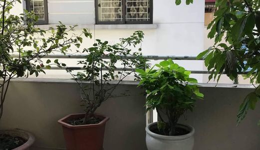 Bán Gấp Nhà Siêu Đẹp Nguyễn Văn Cừ, Quận Long Biên, 50M2, Giá 5,95 Tỷ. Lh: 0352606282.