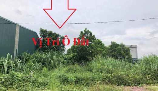 Bán Lô B1-17 Khu đầu tư Hà Khánh B, Phường Hà Khánh. Diện tích : 225 m2, mặt tiền: 9m, Hướng : Tây Nam 