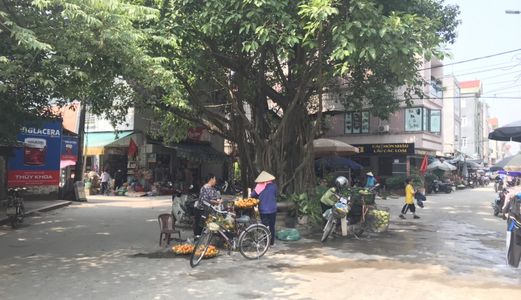 Địa Chủ Bán Đất Đông Anh Giá Đầu Tư 