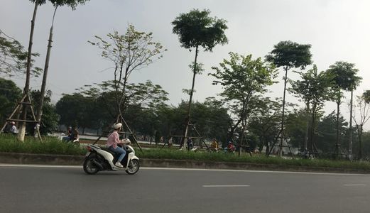 Chỉ 33 Tr/1M2 Có Sẵn Nhà Quá Đẹp Ở Luôn Ô Tô Đỗ Cửa Tương Lai Đang Phát Triển Mạnh Chuẩn Bị Lên Quận