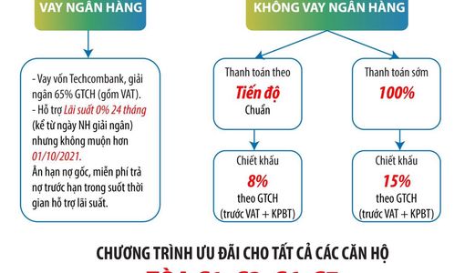 Vinhome D'capitale Vi Trí Kim Cương Tinh Hoa Hội Tụ