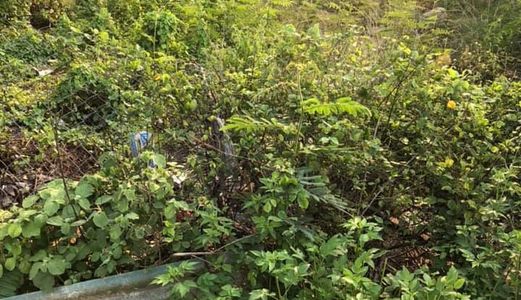 Anh Rể Nhờ Bán Dùm ô đất 150m2