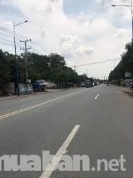 Cô Lên Sg Sống Với Con Nên Ban Nhanh Lô Đất 20X50 Giá Rẻ, Sổ Hồng Riêng Tại Bình Dương