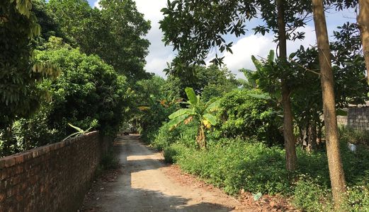  Bán Mảnh Đất Dân 1644M2 Ngay Gần Tái Định Cư Thôn Làng- Hoành Bồ  