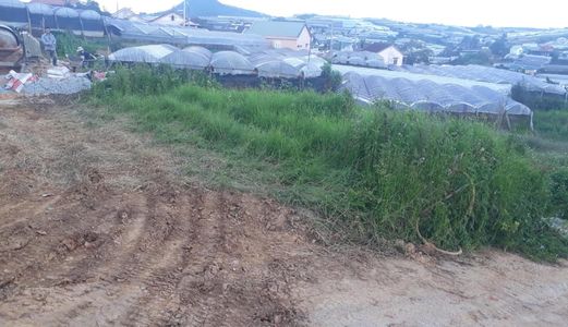 Cần Bán Gấp Đất Trịnh Hoài Đức- Phường 11- Tp.đà Lạt