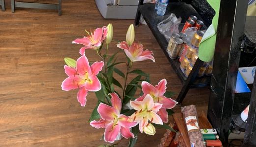 Chính Chủ Cần Sang Nhượng Lại Quán Café Ở 30/33 Nguyễn Cửu Vân Phường 17 Bình Thạnh , Tp.Hcm