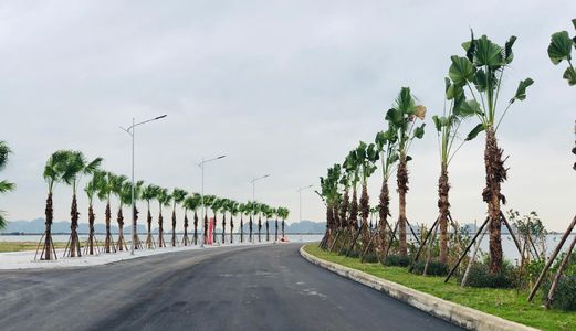 Bán Đất Biệt Thự Đảo Hoa Giá Đầu Tư, Hạ Long, Quảng Ninh