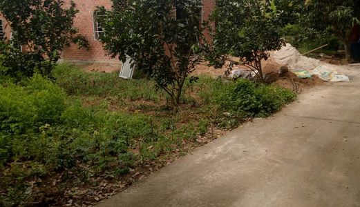 Đang Cần Bán 2 Mẫu Đất Ngay Hồ Sinh Thái Châu Pha