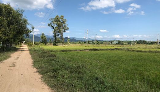 Cần Bán Bình Thuận 