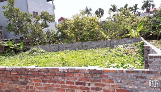 Bán Lô Góc Đất Cổ Dương Đông Anh 60M2, Giá 21,5Tr/m2.Lh 096887225