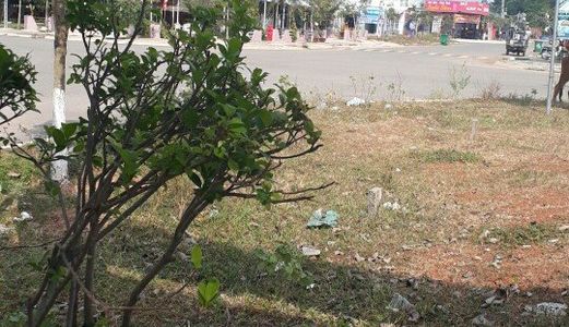 Bán Gấp Lô Visip 2 480Tr/nền