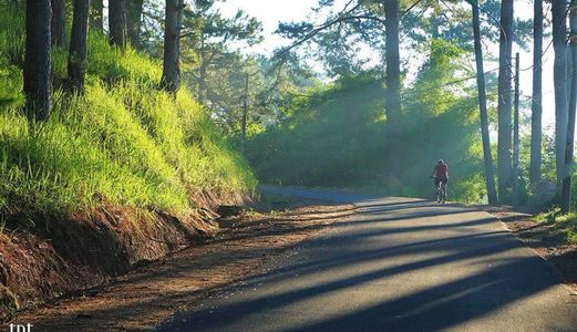 Cần Bán Đất Yết Kiêu- Phường 5- Tp.Đà Lạt.