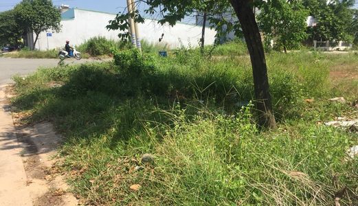 Gửi Bán Vài Lô Đất Trong Khu Đô Thị Mỹ Phước 3 - Bình Dương, Giá Cho Nhà Đầu Tư