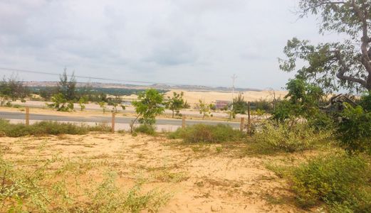 Mặt Tiền Đường 716B Hòa Thắng - Hòa Phú Giá Cực Tốt Chỉ 1,2 Tỷ/sào