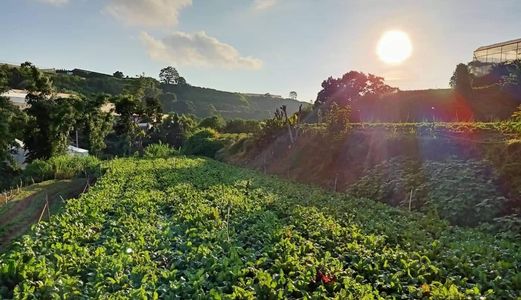 Cần Bán Đất Hàn Thuyên