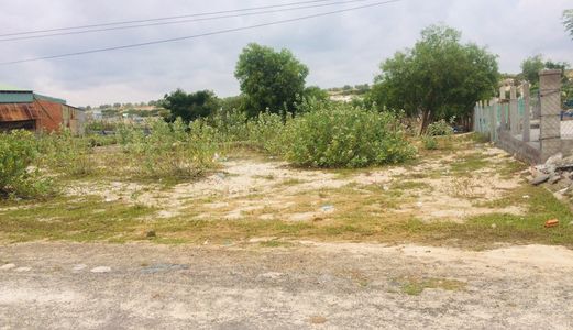 Mặt Tiền Đường Nhựa Kdc Hòa Thắng - Bàu Trắng 15X25 Giá Chỉ 6Tr/m2