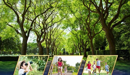 Cơ Hội Sở Hữu Ngay Đất Nền Vị Trí Vàng Tại Đại Đô Thị Stella Mega City - Tiềm Năng Sinh Lời Bền Vững