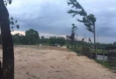 Bán Đất P.thuận Giao, Tx.Thuận An, Cách Cao Tốc Mỹ Phước - Tân Vạn 200m, Diện tích 12.000 m2, Giá Hot: 4Tr/m2