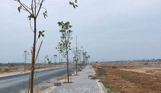 Tôi Chỉ Khoe Miếng Đất Đẹp Của Tôi Tí Thôi Nhé