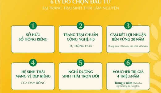 Chỉ 600 Triệu Sở Hữu 4000M2 Đất Và Vườn Sầu Riêng Tại Trang Trại Lâm Nguyên 