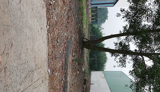 Bán Đất Chính Chủ Mặt Tiền Đường Trần Văn Giàu ( 5X19,5 = 950Tr), Shr.