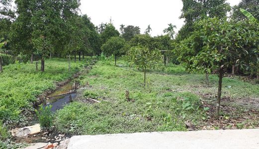 Bán Đất Mặt Tiền P. Hưng Định, Thuận An, Bình Dương, Tổng Diện Tích: 1479M2, Giá: 7,5 Triệu/m2