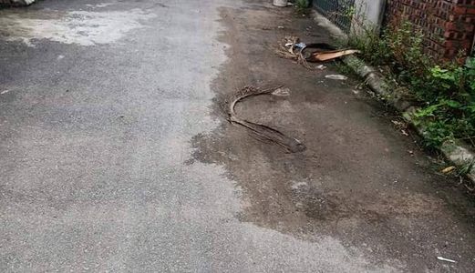.bán Đất 77,5M2 Viện Rau A Trâu Qùy , Gia Lâm , Hn