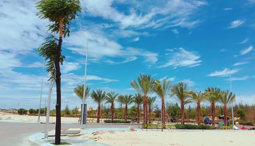 Kẹt Tiền Bán Rẻ Đất Nền Ven Biển Thành Phố Quy Nhơn, Bình Định