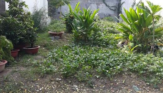 Bán Đất Ngay Khu Dân Cư Việt Sing Thuận An Ngay Đường 22/12 Giá Đầu Tư Cho Khách Thiện Chí 