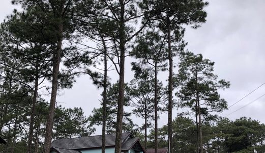  Vị Trí Vàng Bán Biệt Thự Nghỉ Dưỡng Tại Khu Du Lịch Sinh Thái Măng Đen - Kon Tum (Đà Lạt 2)