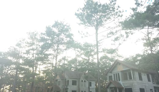  Vị Trí Vàng Bán Biệt Thự Nghỉ Dưỡng Tại Khu Du Lịch Sinh Thái Măng Đen - Kon Tum (Đà Lạt 2)