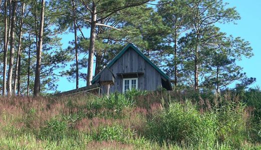 Bán Đất Hoàng Hoa Thám, P10, Đà Lạt 