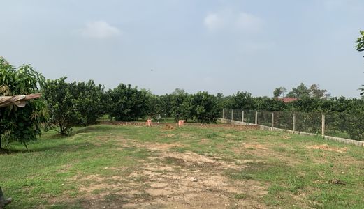 Bán Cặp Vườn Bưởi Rộng Diện Tích 692 M2 Mỗi Lô Đang Cho Thu Nhập Tốt Tại Mặt Tiền Hương Lộ 7 Giá Chỉ 3.6 Tỷ
