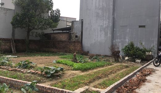 Bán Đất Giá Rẻ Cho Công Nhân, Có Hỗ Trợ Trả Góp