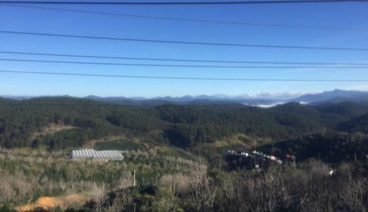 Bán Đất Vườn Xuân Trường Diện Tích 4.900M Giá 5,8 Tỷ