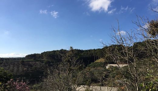 Bán Đất Vườn Xuân Trường Diện Tích 4.900M Giá 5,8 Tỷ