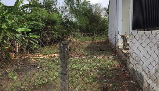 Bán Gấp  Đất Bình Chánh 