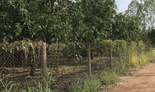 Cần Bán 2300M2 Cách Mt 101 Nam Lộ Chỉ 400M Xã La Ngà,định Quán Đồng Nai 