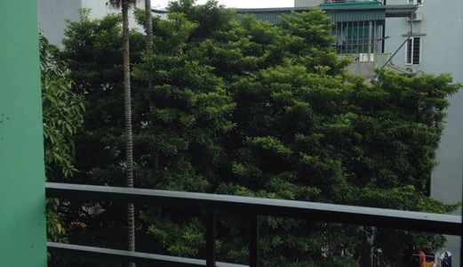 Hoàng Mai – Nhà Đẹp – Ngõ Rộng – Gần Đường Ô Tô – Nhỉnh 3 Tỷ.