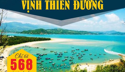 Bán Đất Nền Biển Phú Yên Chỉ 568 Triệu Cạnh Ghềnh Đá Dĩa Xứ Hoa Vàng Trên Cỏ Xanh