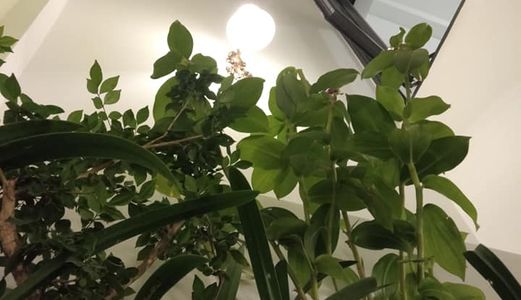 Nhà 3 Lầu Đẹp Không Tỳ Vết , Đường Thông, Xe Hơi Vào Tận Cửa. Bán Gấp Trong Tuần.