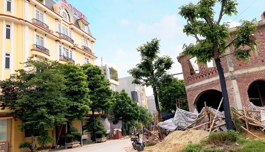 Bán Lô Đất Hướng Tây Nam, Mb530, Sổ Đỏ Chính Chủ, Ngay Sau Khách Sạn Mường Thanh-Thanh Hóa –Lh 0987547645