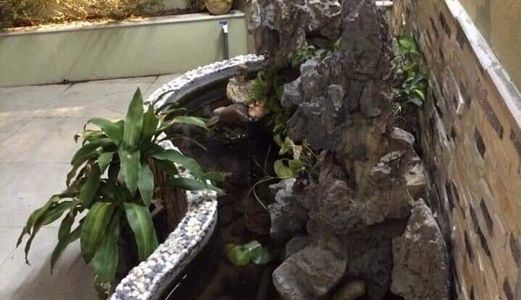 Ngã Tư Sở - Kinh Doanh – Lô Góc – Ô Tô – Nhà  Đẹp.