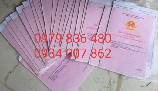 Bán Đất Gấp 18000M2 63 Tỷ Đã Tách Sổ 500M2 Thổ Cư 300M2/sổ Tôn Thất Tùng, Vạn Hạnh, Phú Mỹ, Br-Vt